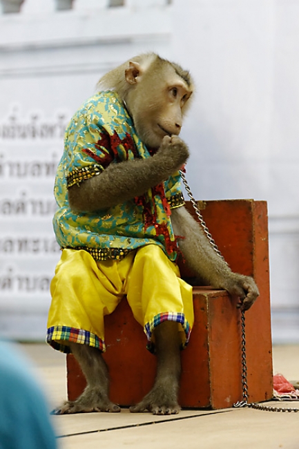 Lopburi King Narai fair-199